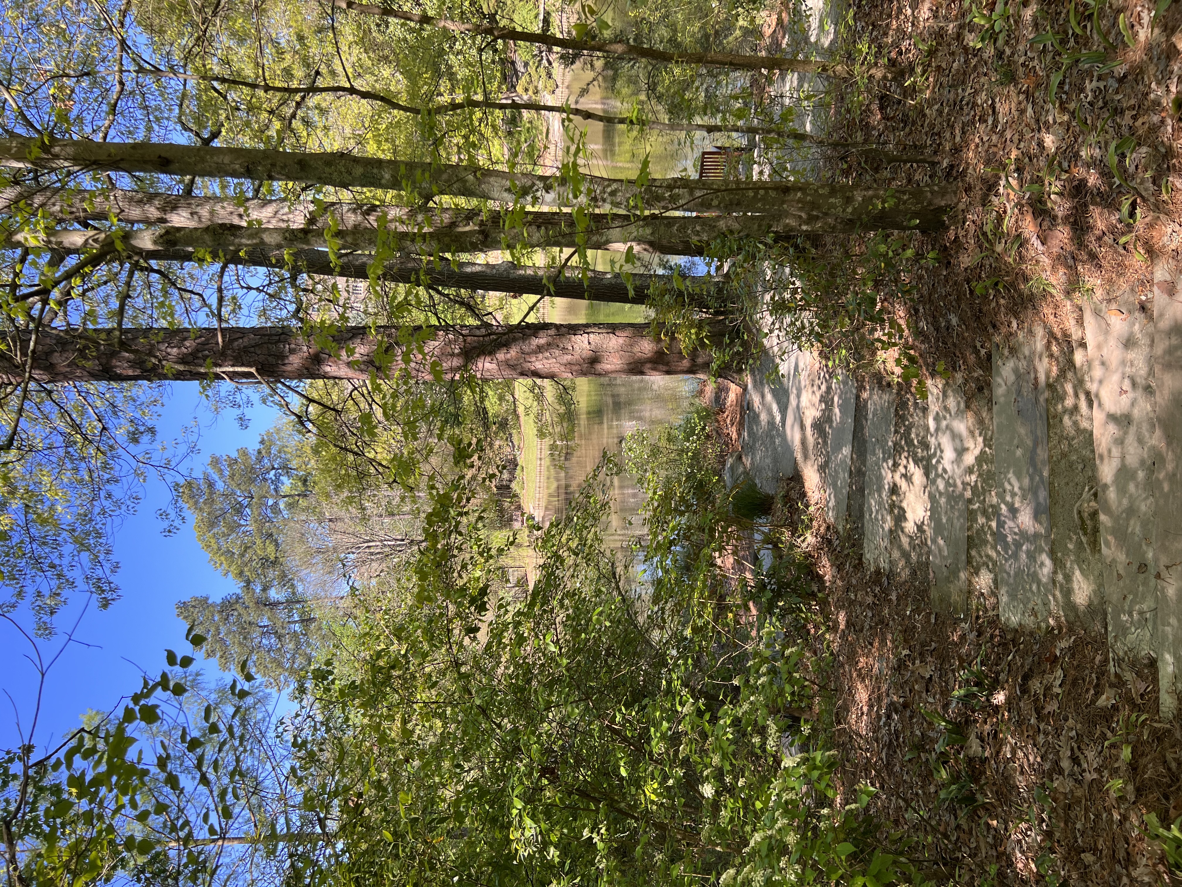 ./2023/05 - Toni Adventures/IMG_3105.JPG